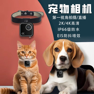 动物猫咪狗狗宠物第一视角4k防抖智能相机监控摄像头机直播记录仪