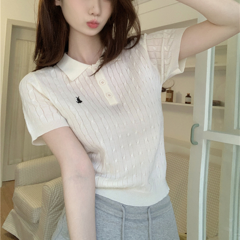 韩系麻花小衫 女夏季 polo领T恤设计感刺绣上衣ins 冰丝透气针织短袖