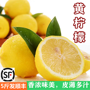 新鲜黄柠檬水果一级果安岳柠檬中大皮薄多汁香味浓柠檬茶开店专用