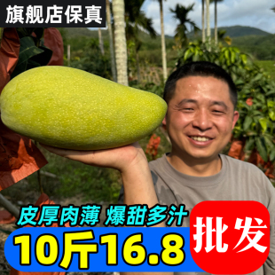 大青芒 新鲜热带水果进口 10斤越南进口大青芒非金煌芒果当季