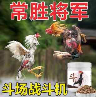 优质斗鸡专用饲料比赛训练增加抗体调理爆发力高蛋白增肌打料用品