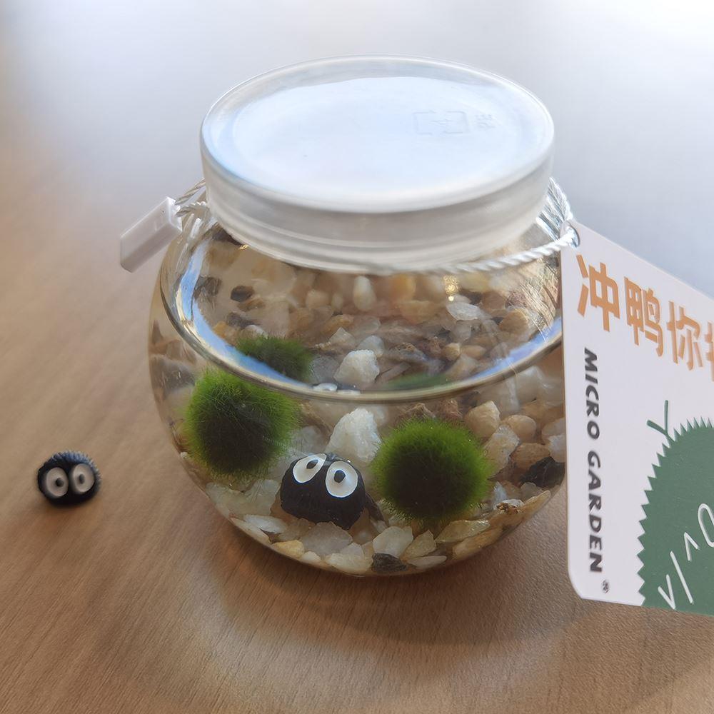 马里莫海藻球生态瓶生日礼物送闺蜜水培养植物水草小宠物微景观