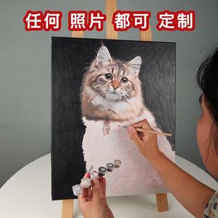 数字油画宠物猫咪照片diy定制手工油彩画画动物填色填充手作装 饰