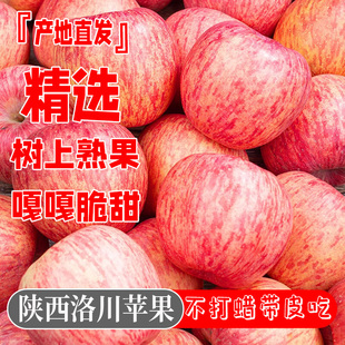 现摘孕妇水果一级红富士冰糖心9斤 正宗陕西洛川苹果水果新鲜当季