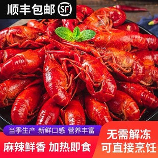 麻辣小龙虾熟食650g 盒整虾活虾制作4 6钱加热即食盒装