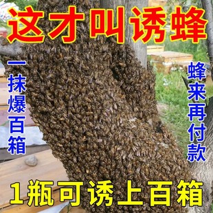 诱蜂膏神器蜂蜡诱蜜蜂野外用中土蜂引蜂养蜂专用工具神奇招引蜂水