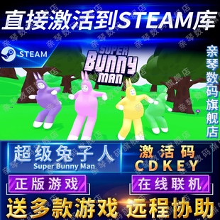 Steam正版 Bunny CDKEY在线联机国区全球区Super Man电脑PC中文游戏 超级兔子人激活码