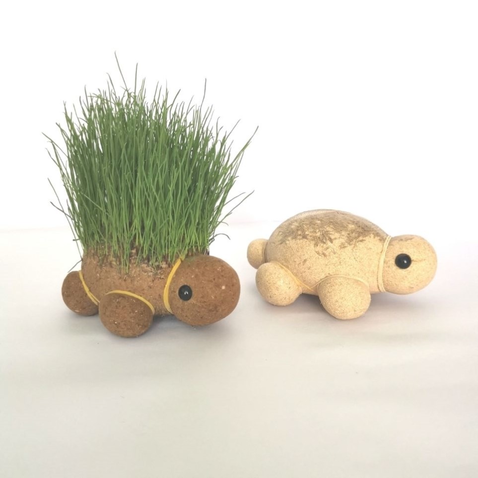 植物创意草头娃娃办公室青草盆栽 种草娃娃头上长草盆栽浇水长草