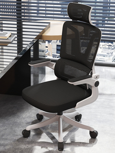 办公椅舒适久坐电脑椅家用人体工学椅书桌书房学生学习椅护腰电竞