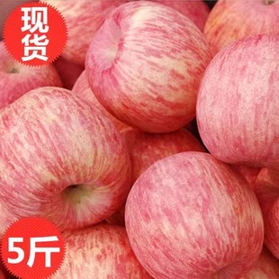 水果脆甜皮薄无渣5斤冰糖心丑平果9斤 新鲜白水红富士苹果陕西当季