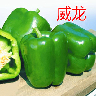 威龙 包邮 菜椒种子甜椒薄皮灯笼椒种籽长方椒柿子椒高产辣椒蔬菜