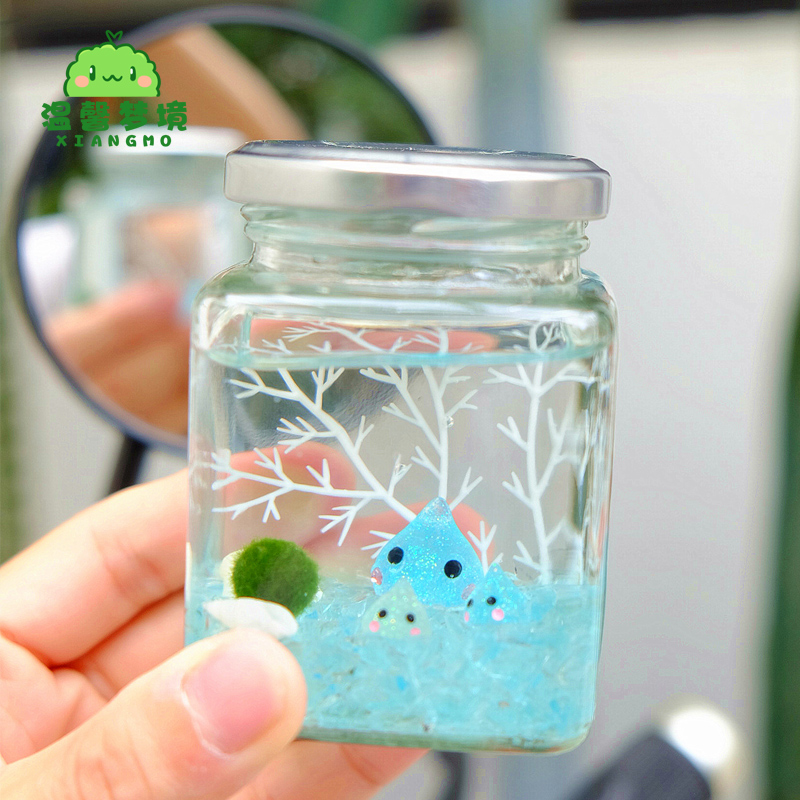 乖乖瓶marimo幸福海藻球微景观生态瓶迷你盆栽创意礼物水培植物