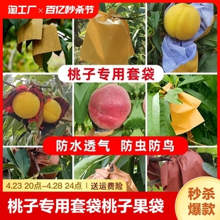 桃子专用套袋桃子果袋桃子袋水蜜桃黄桃冬桃蟠桃防虫防水水果套袋