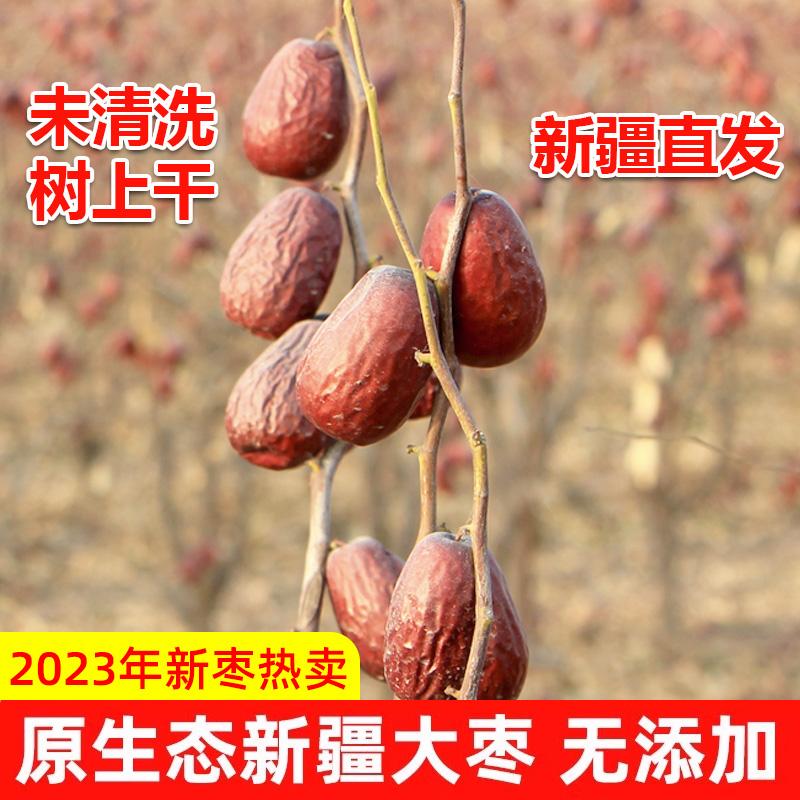 新疆大枣原生态2023年新红枣未清洗树上挂干5斤特级和田大枣