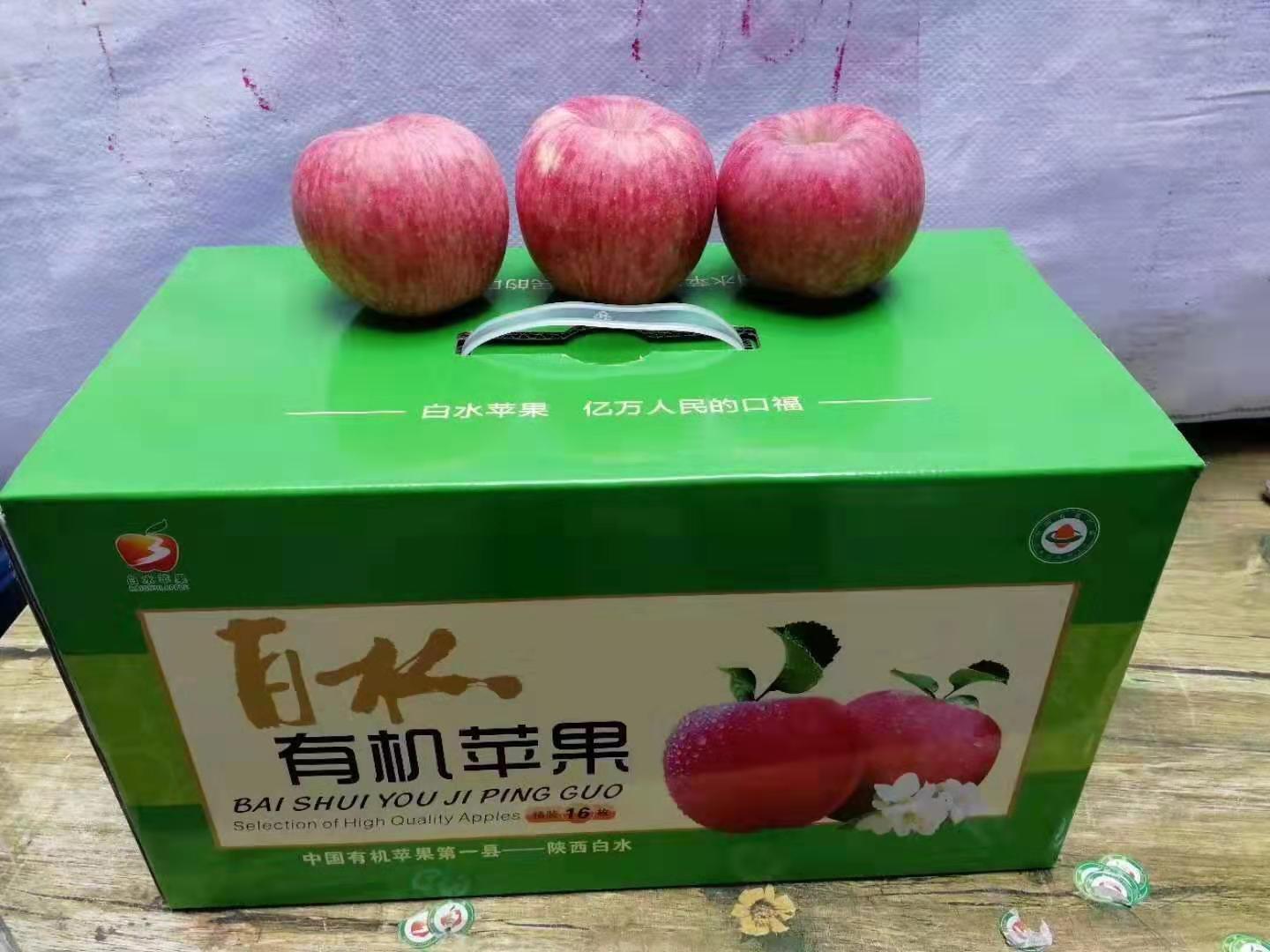 陕西白水苹果红富士农产品脆甜多汁孕妇吃新鲜水果 包邮 大果85