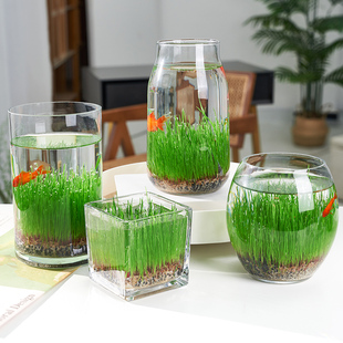 微景观摆件 2个diy创意鱼缸生态瓶玻璃插花瓶水培草种子四季 9.8元