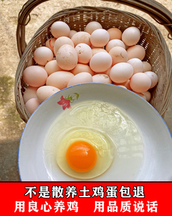 青城山正宗土鸡蛋散养草鸡蛋农家自养野外无菌蛋新鲜野鸡蛋柴鸡蛋