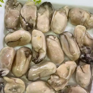 海地村韩国进口牡蛎肉生蚝鲜牡蛎特大肉肥即食海蛎子500g