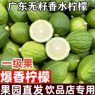 正宗广东无籽香水柠檬新鲜水果一级大果奶茶店专用