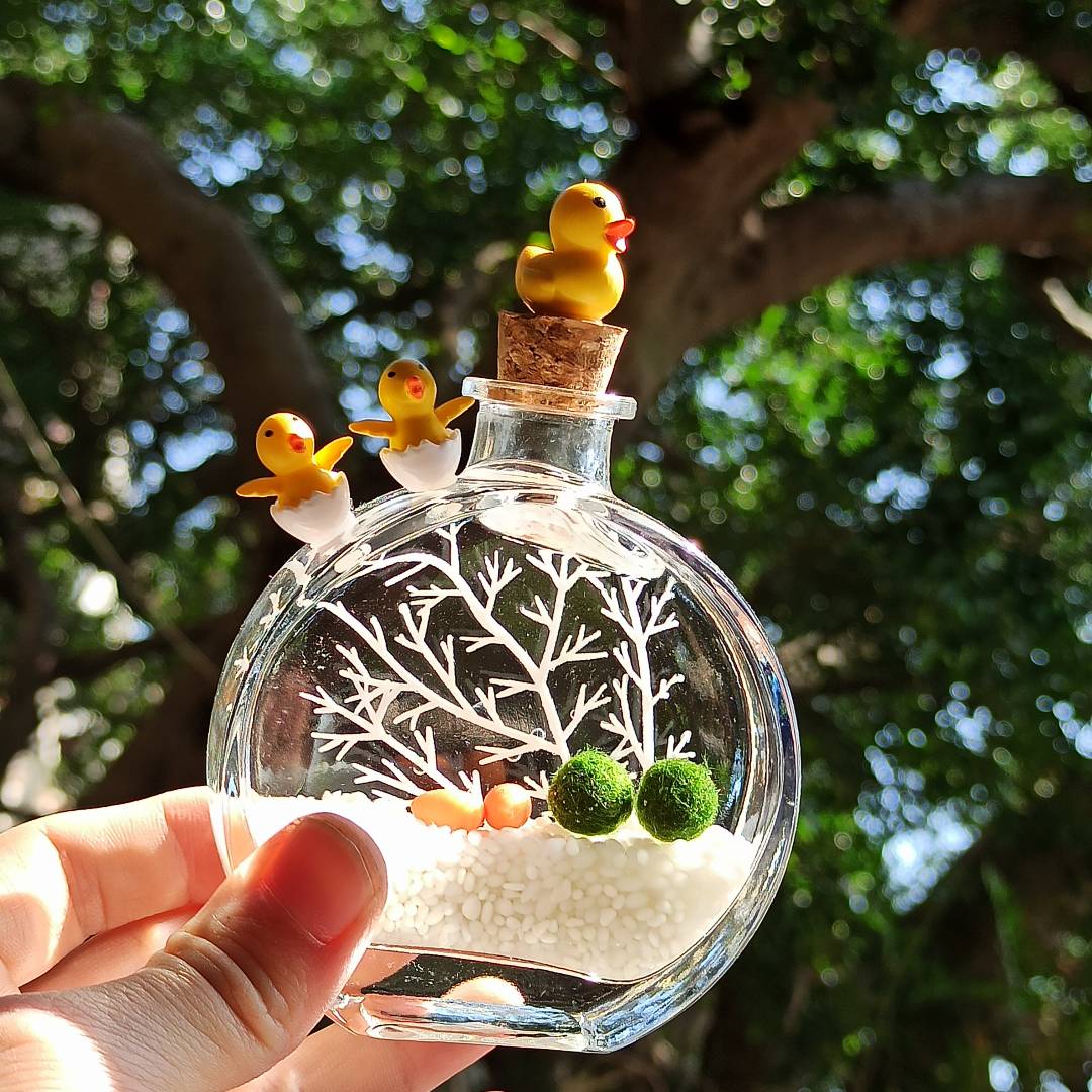 MARIMO香水瓶海藻球微景观生态瓶玻璃瓶水培植物桌面盆栽创意礼物