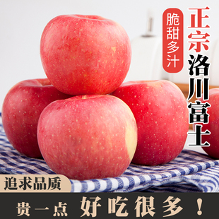 整箱脆甜官方旗舰店产地直发 华圣陕西洛川红富士苹果水果新鲜当季