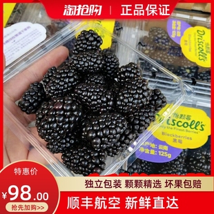 云南怡颗莓黑莓新鲜覆盆子水果黑树莓果酸甜桑葚125g 盒顺丰 包邮