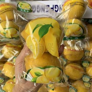 黄柠檬30袋约15斤整件 新鲜饮品调味榨汁 双果袋装 包邮 四川安岳盒装