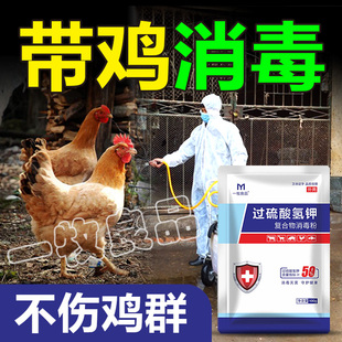 鸡圈鸡场消毒液养殖场专用过硫酸氢钾消毒剂养殖场鸡舍专用消毒液