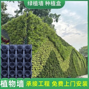 户外垂直真植物墙绿植墙种植盒立体绿化壁挂自动化灌溉绿化植物墙