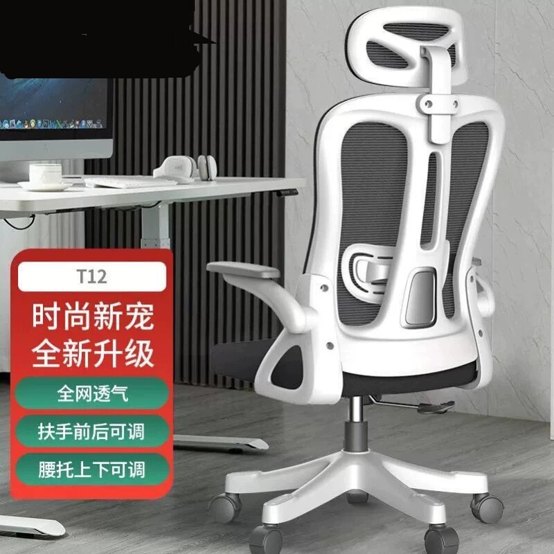 电脑椅家用办公椅舒适久坐办公室员工升降人体工学电竞椅子