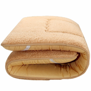 加厚羊羔绒学生宿舍床垫单人双人榻榻米可折叠防滑地铺保暖垫褥z8