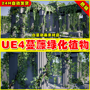 UE4虚幻资产UE5 Ivy 藤蔓藤条生长生成爬山虎植物 Pack
