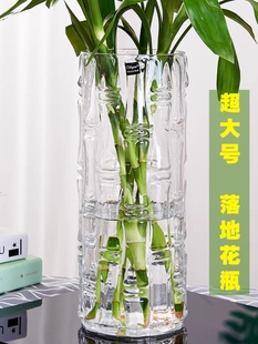饰 特大号落地富贵竹花瓶摆件玻璃透明水养水培直筒家用客厅插花装