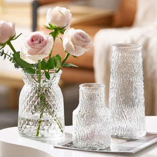 网红设计花瓶摆件客厅插花玻璃透明ins风高级感水养玫瑰百合鲜花