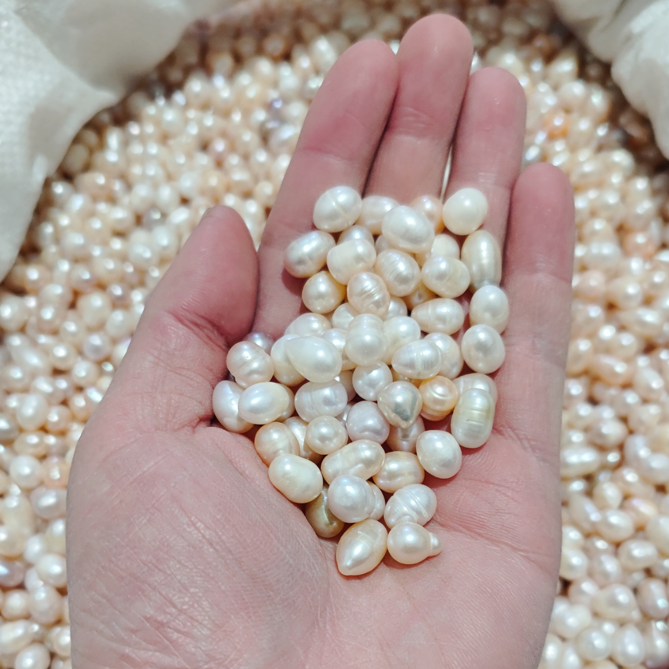 天然淡水药用珠颗粒真珍珠磨粉无核无孔称斤重供佛修曼扎米形散珠