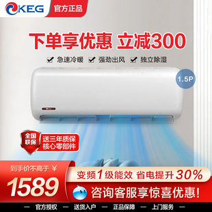 空调 韩电大1.5P冷暖家用公寓客厅卧室一级能效变频节能壁挂式 KEG