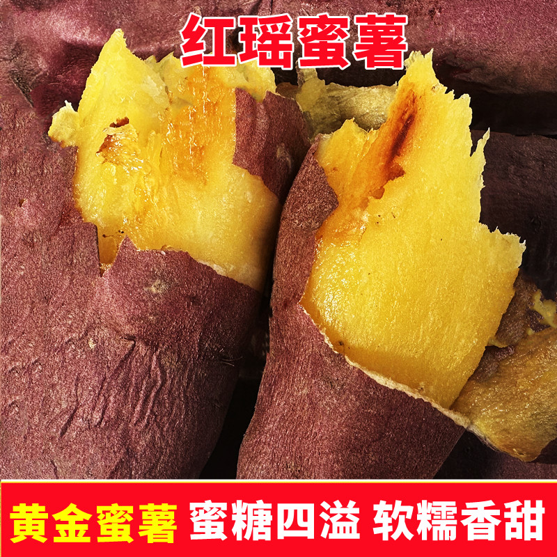 正宗红瑶红薯番薯紫皮黄心山芋香甜软糯蜜甜糖心红薯烤地瓜5斤