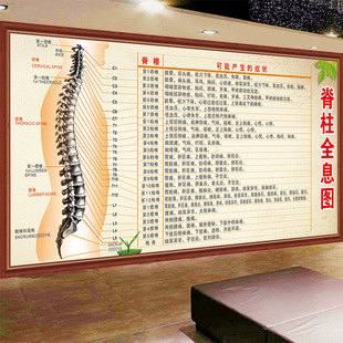 脊椎全息图壁画诊所医院脊椎病症对照图表墙纸脊椎体节段症状壁纸