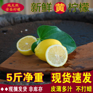 水果一级果皮薄多汁5斤净重 四川安岳柠檬新鲜黄柠檬尤力克应季