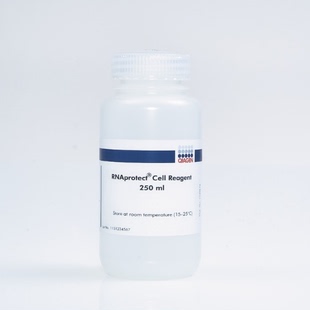 Qiagen 76526 250ml 细胞RNA稳定试剂