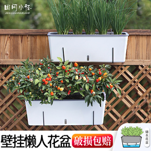 家庭阳台懒人长方形自吸水种菜盆壁挂花盆蔬菜种植箱免浇水种菜箱
