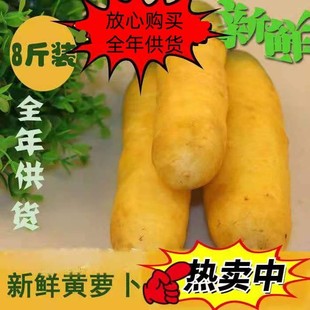 全年供货山西运城产新鲜黄萝卜胡萝卜手抓饭蔬菜农家全年8斤净重