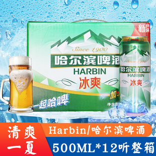 听装 大罐小麦整箱 Harbin 冰爽款 Beer 12罐装 500ml 哈尔滨啤酒