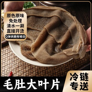 精品大叶片 四川重庆新鲜火锅食材切片毛肚牛百叶生鲜 性价比