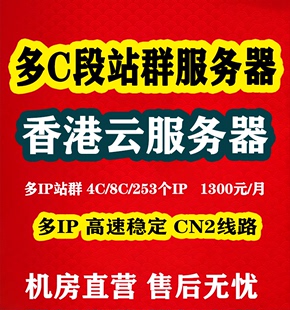 站群云服务器主机物理机香港美国游戏大带宽CN2多C段独立多IP电商