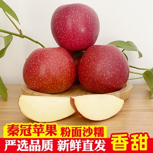 老人粉面沙苹果5 新鲜宝宝刮泥水果10斤整箱应季 陕西秦冠苹果当季