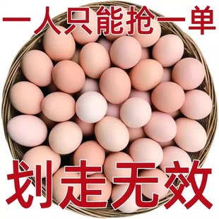 正宗新鲜草鸡蛋谷物笨柴鸡蛋月子 包邮 农家散养土鸡蛋40枚初生蛋