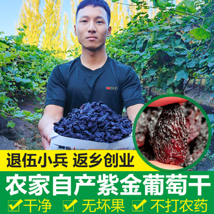 紫金葡萄吐鲁番自然风干特级免洗果干500g零食葡萄干 新疆特产新品