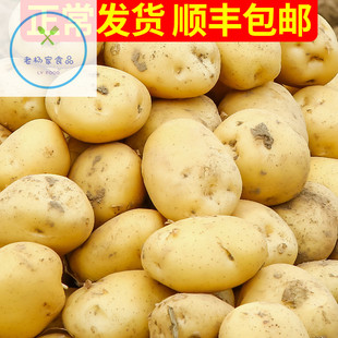 大土斤号爱心山东大黄心产品马铃薯农产新鲜土豆山东省5心助10包