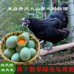 包邮 绿壳农家散养30枚土鸡蛋乌鸡蛋新鲜正宗天然当天草鸡蛋月子蛋